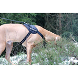 Hundsele Polis/Väktare - Svenska Hjältar AB