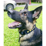Hundhalsband Polis - Svenska Hjältar AB